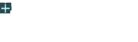 logo haig